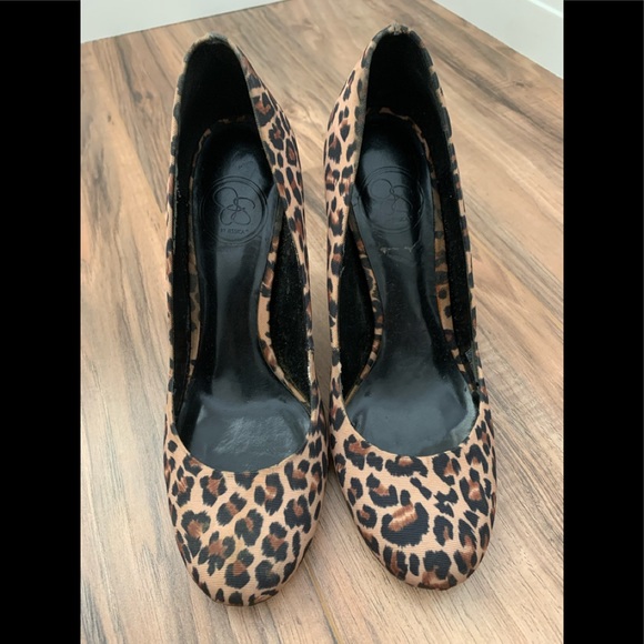 Roar! - Picture 1 of 4